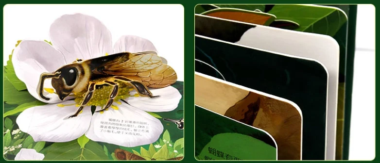 product-782-336 product-782-336