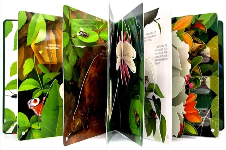 Custom Pop Up Books