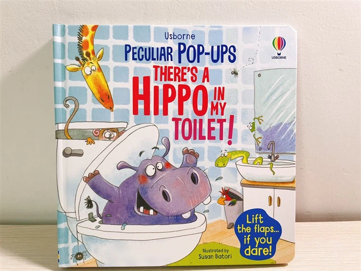 Pop Up Picture Book